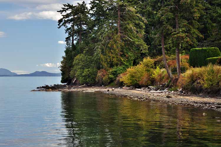 shoreline